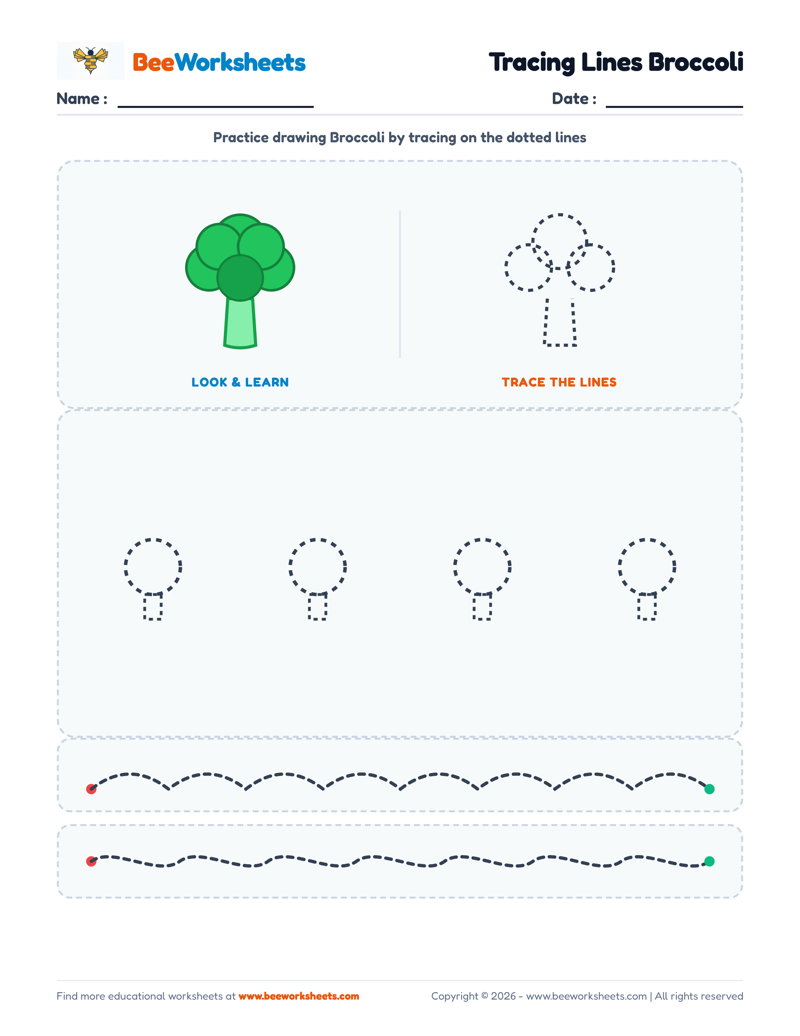 Tracing Lines Broccoli Preview