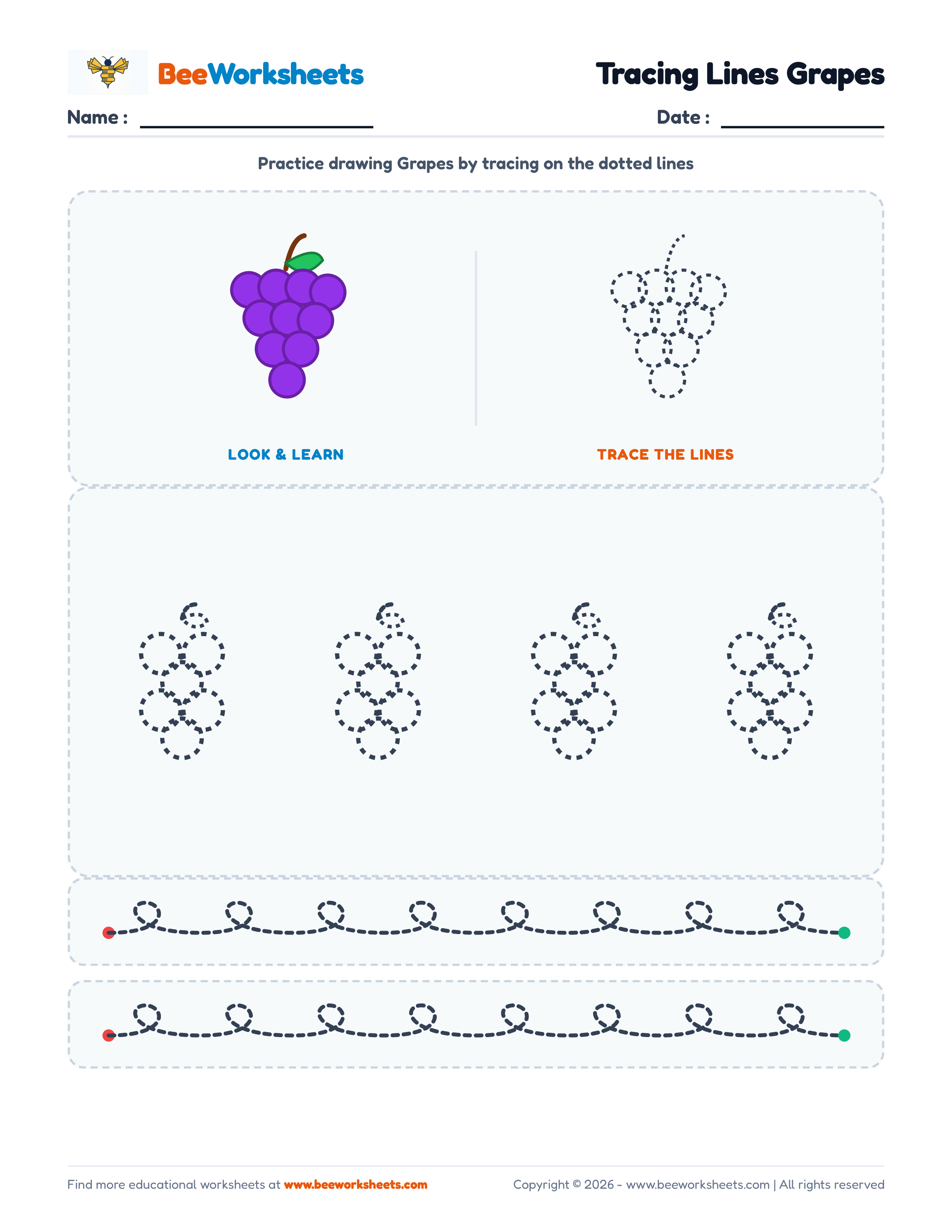 Tracing Lines Grapes Preview