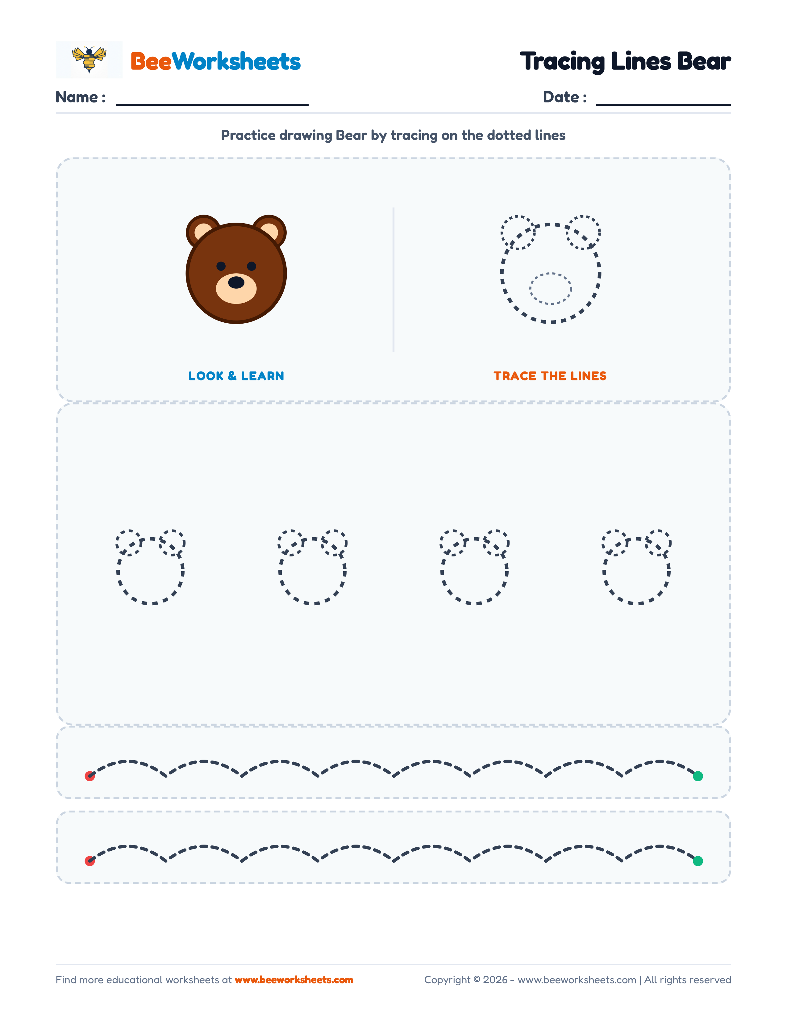 Tracing Lines Bear Preview