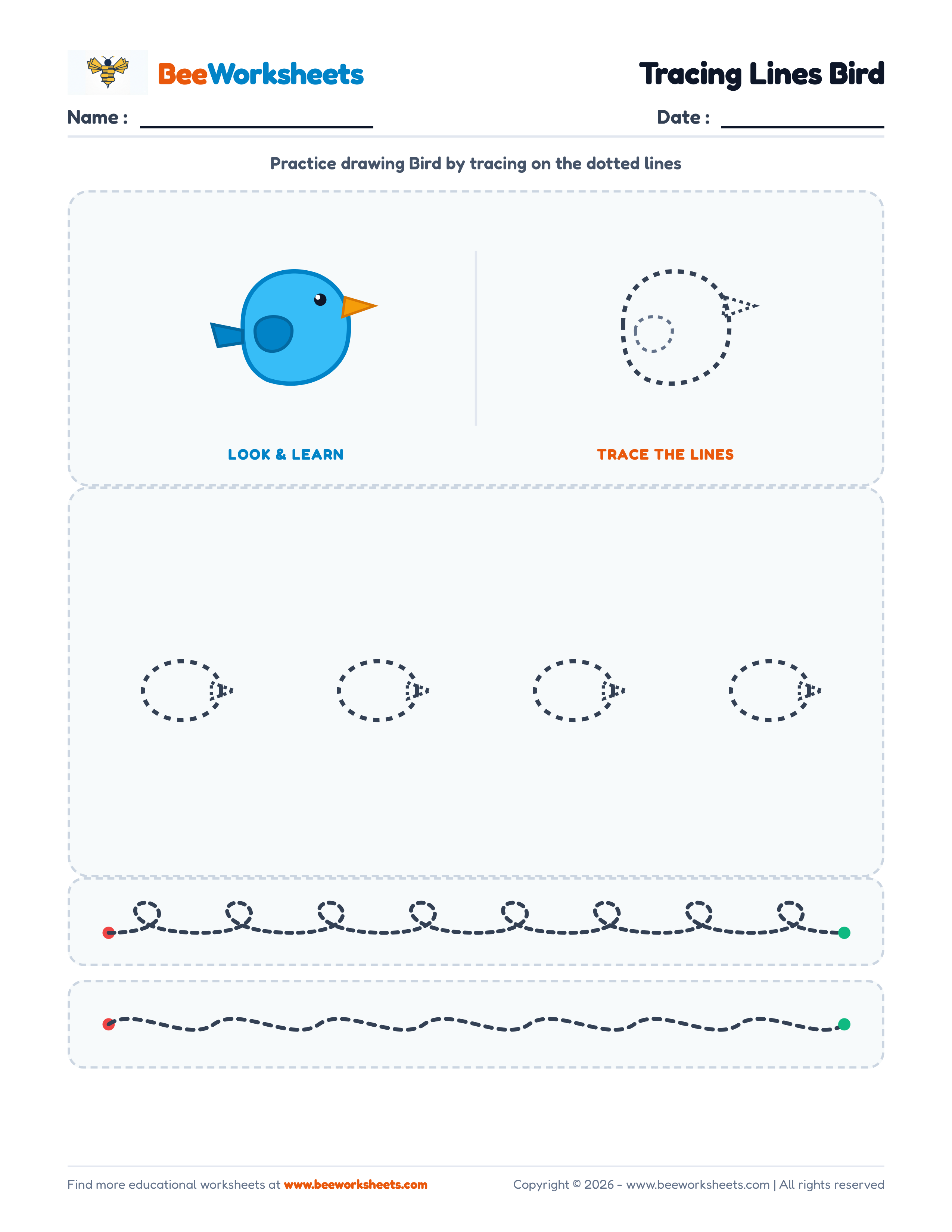 Tracing Lines Bird Preview
