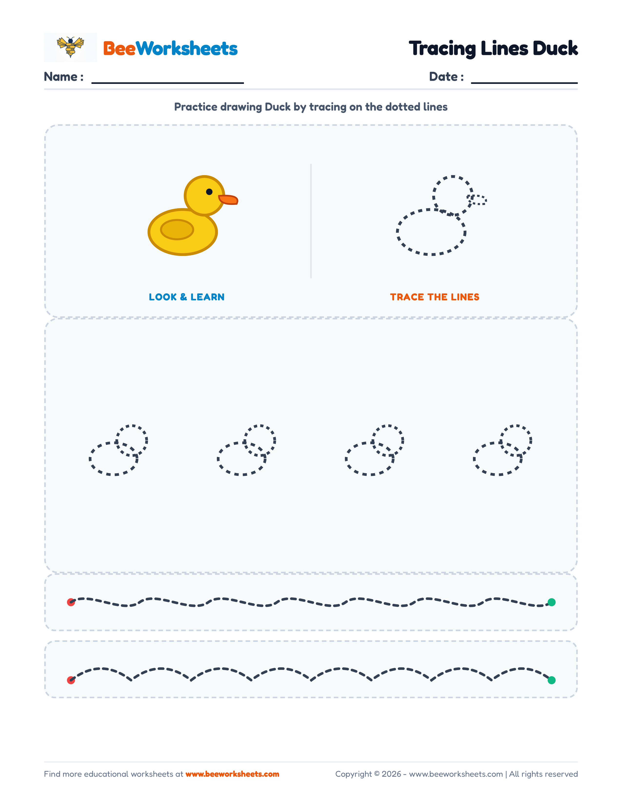 Tracing Lines Duck Preview