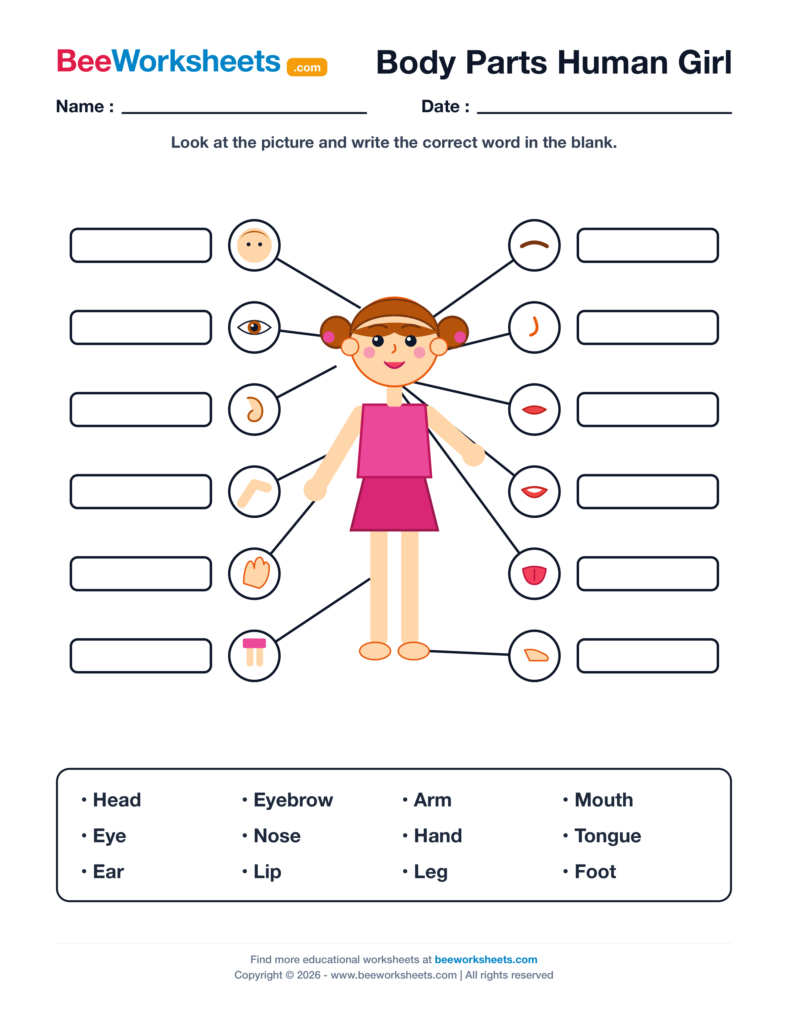 Label the Body Parts of Human (Girl) Worksheet Preview