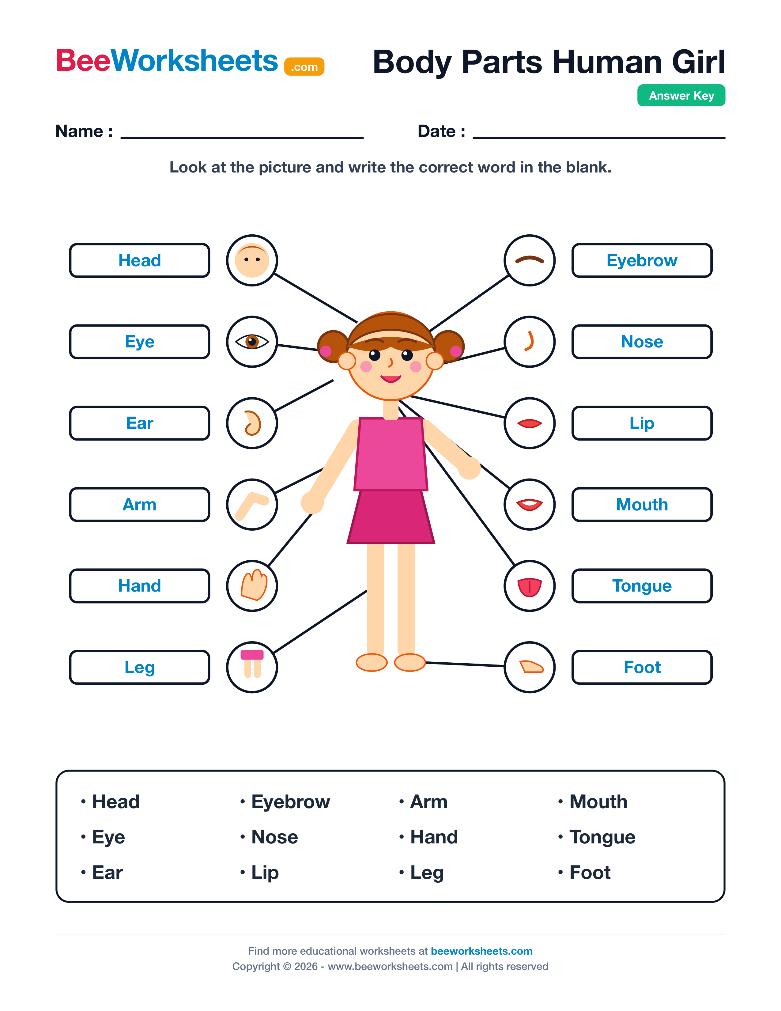 Teacher answer key and solutions preview for Label the Body Parts of Human (Girl) Worksheet printable PDF