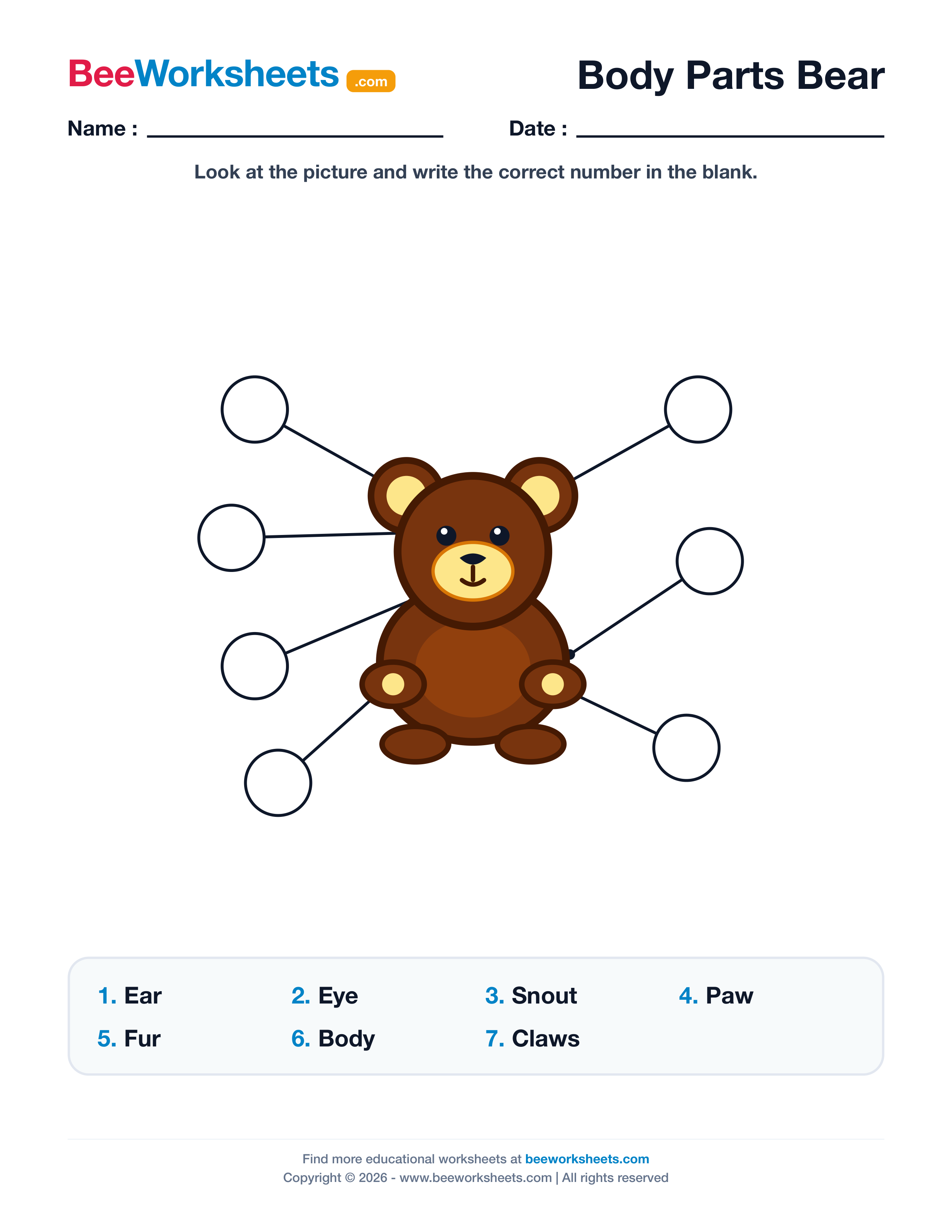 Label the Body Parts of Bear Worksheet Preview