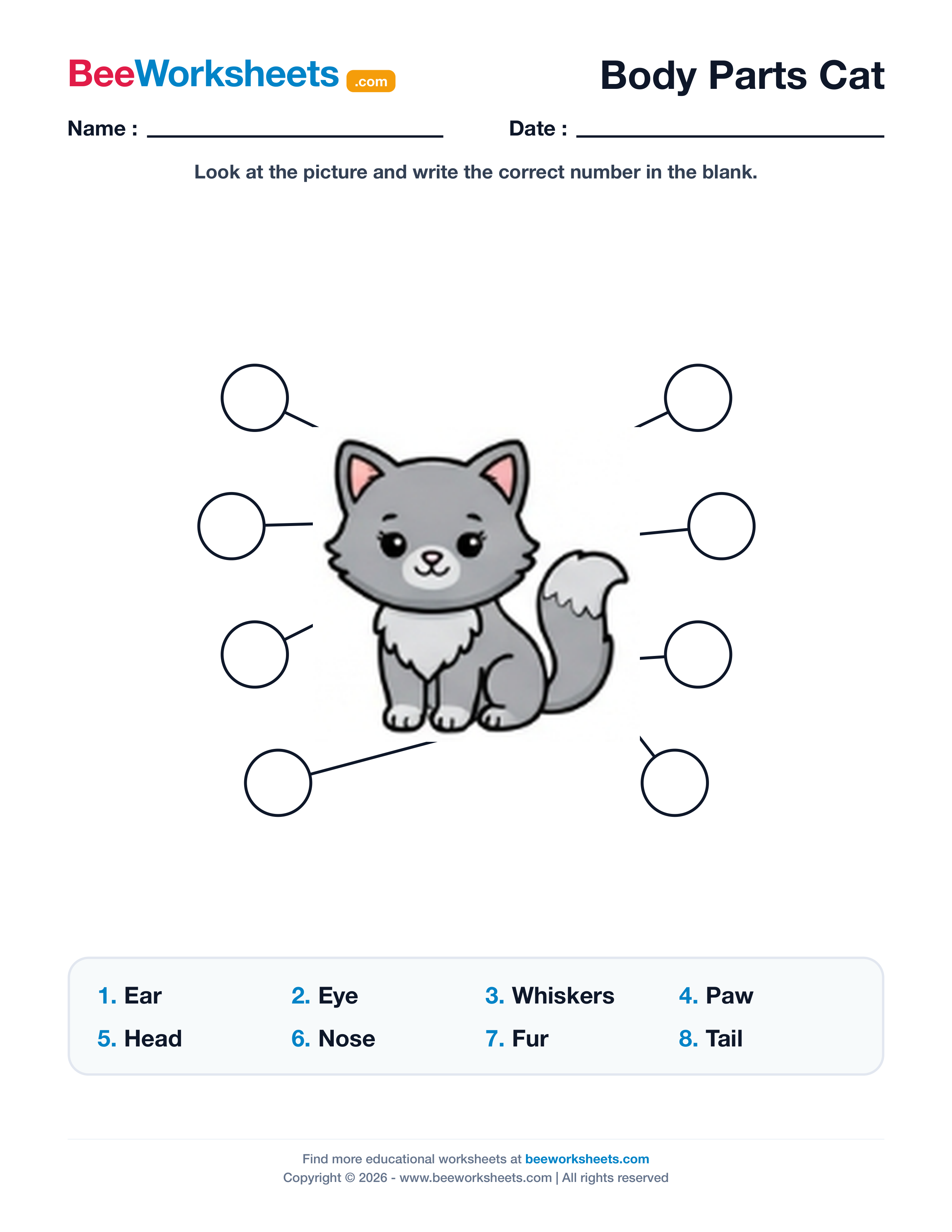 Label the Body Parts of Cat Worksheet Preview