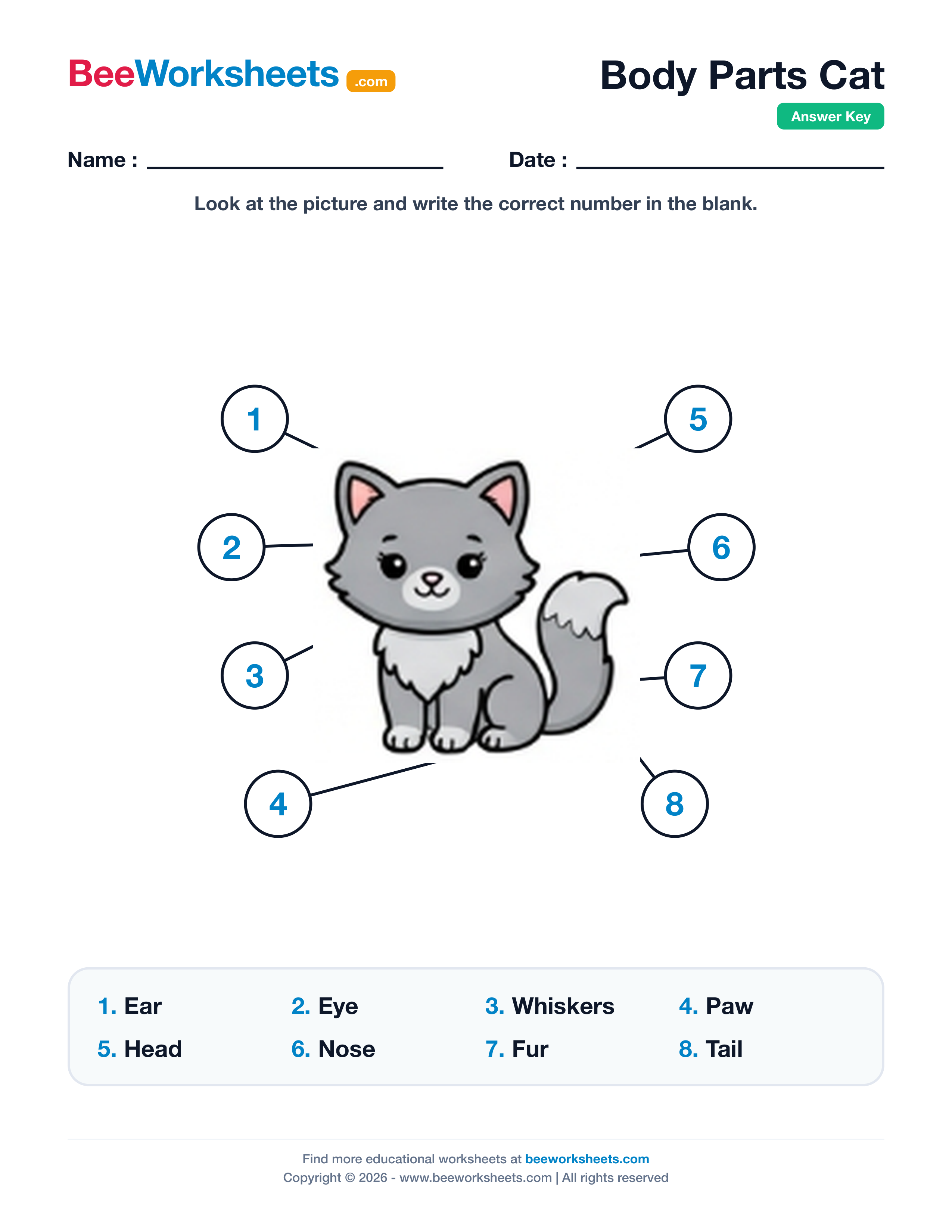Teacher answer key and solutions preview for Label the Body Parts of Cat Worksheet printable PDF