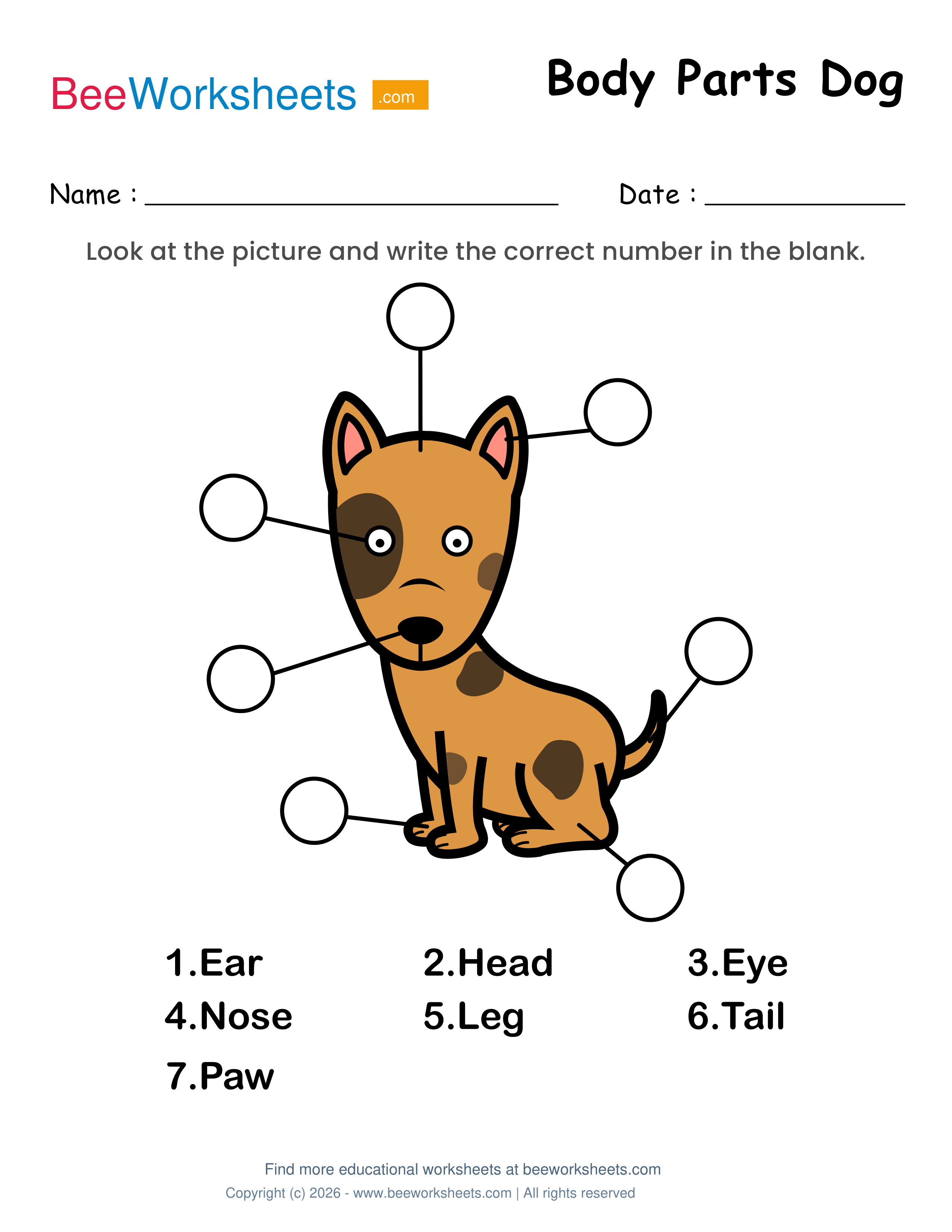 Label the Body Parts of Dog Worksheet Preview