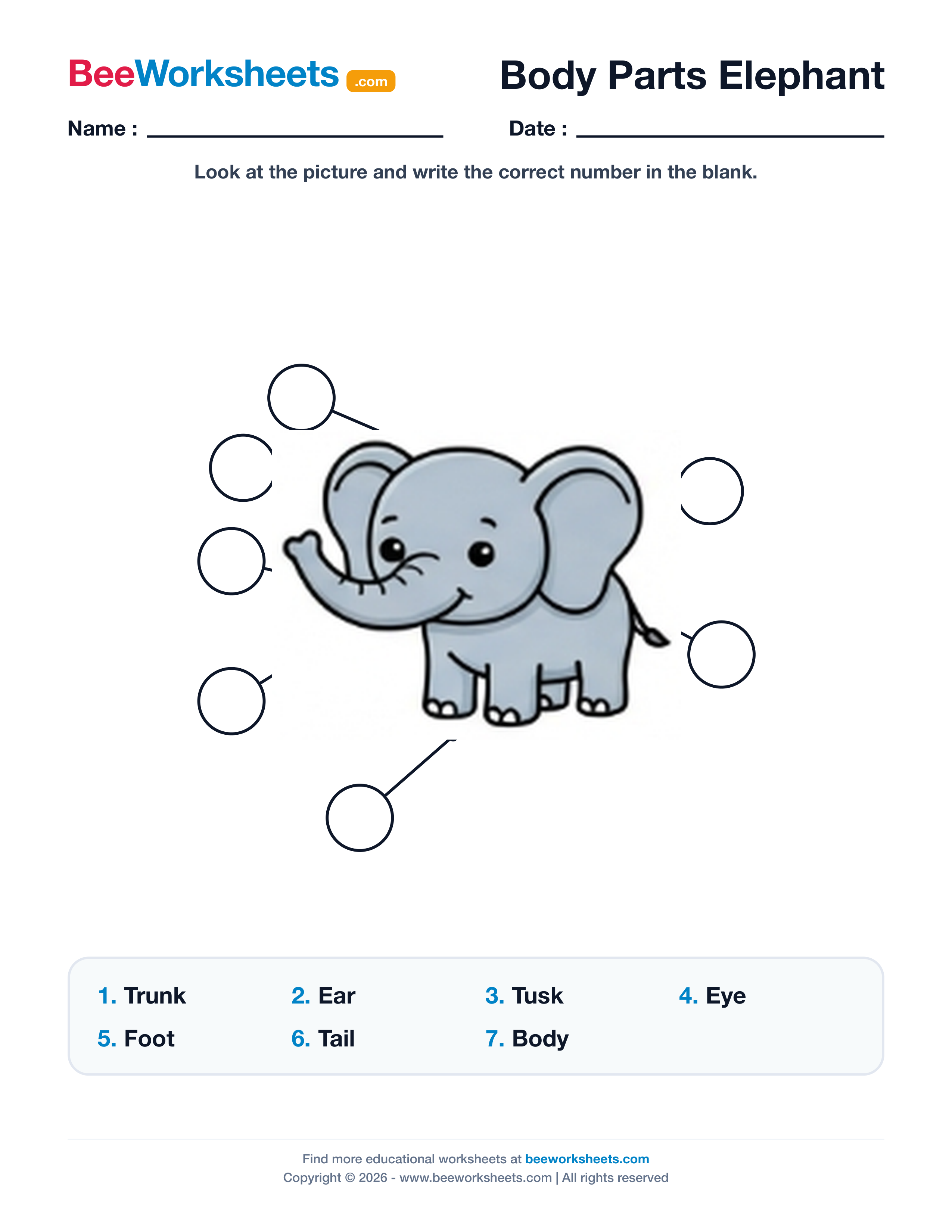 Label the Body Parts of Elephant Worksheet Preview