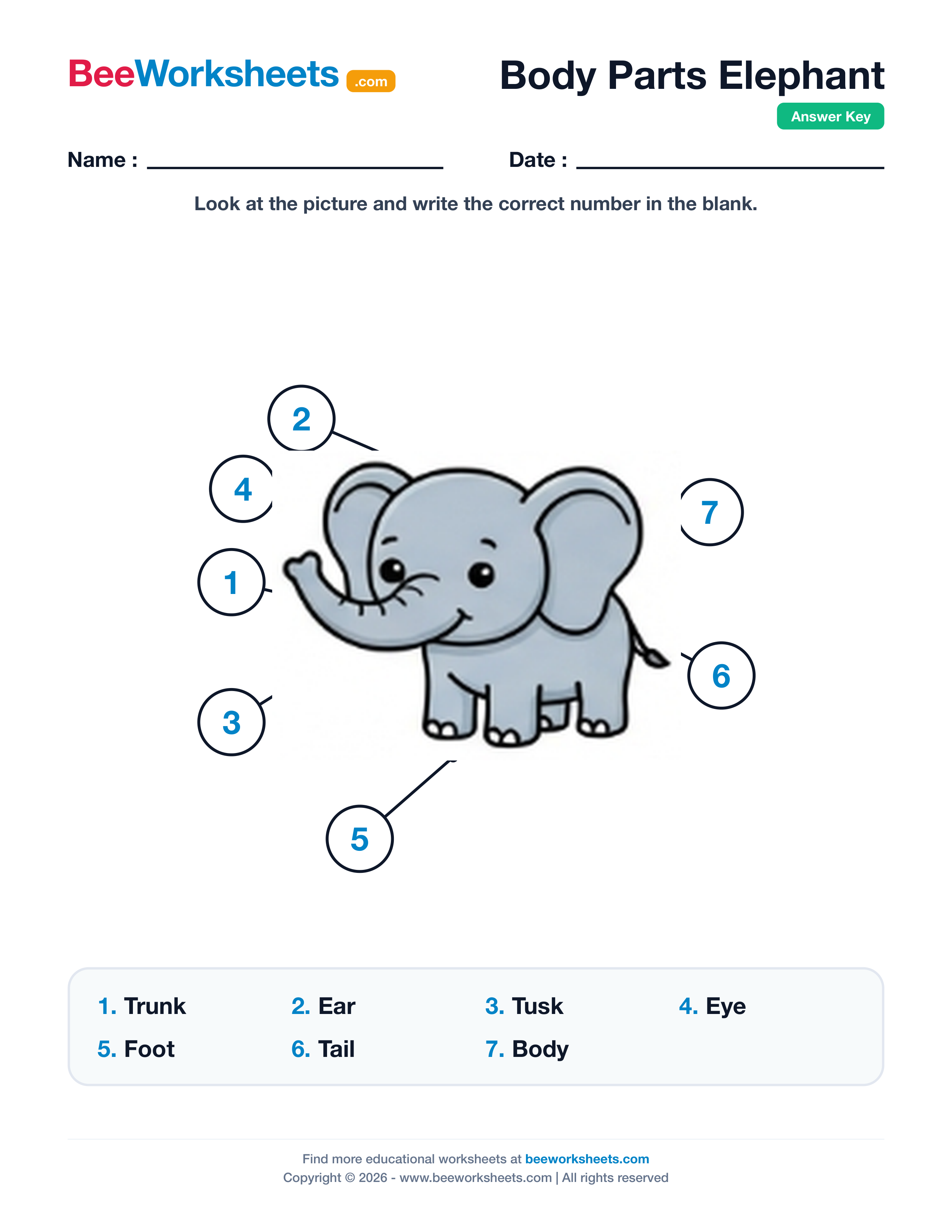 Teacher answer key and solutions preview for Label the Body Parts of Elephant Worksheet printable PDF