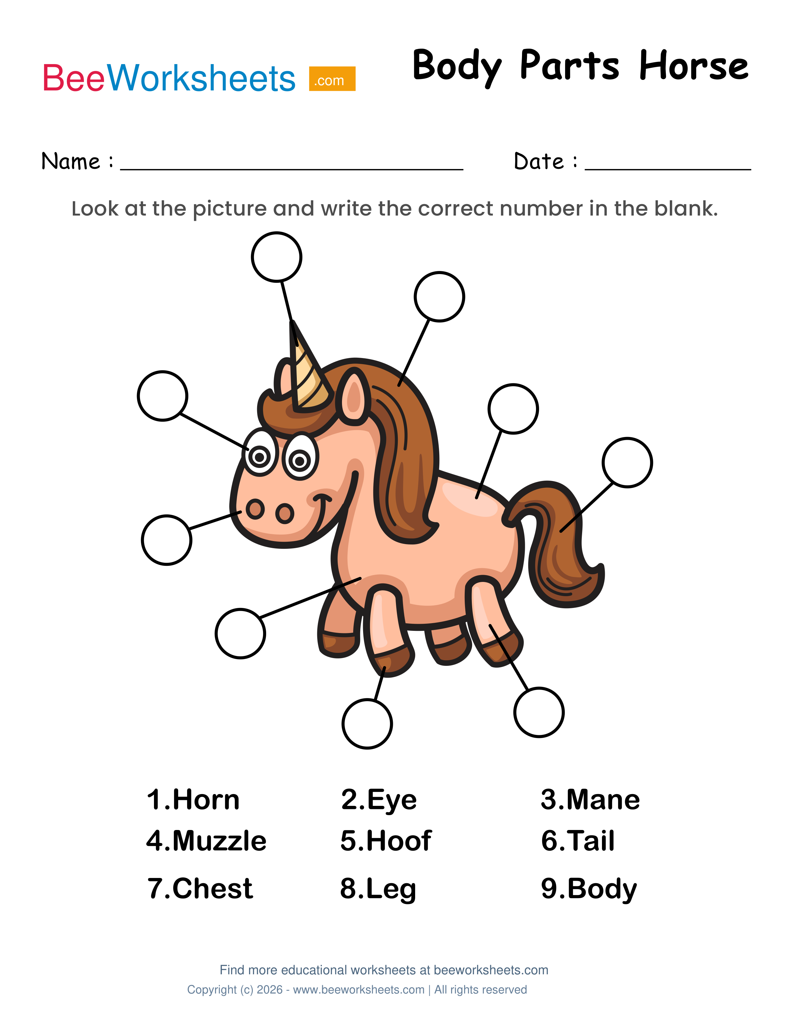 Label the Body Parts of Horse Worksheet Preview