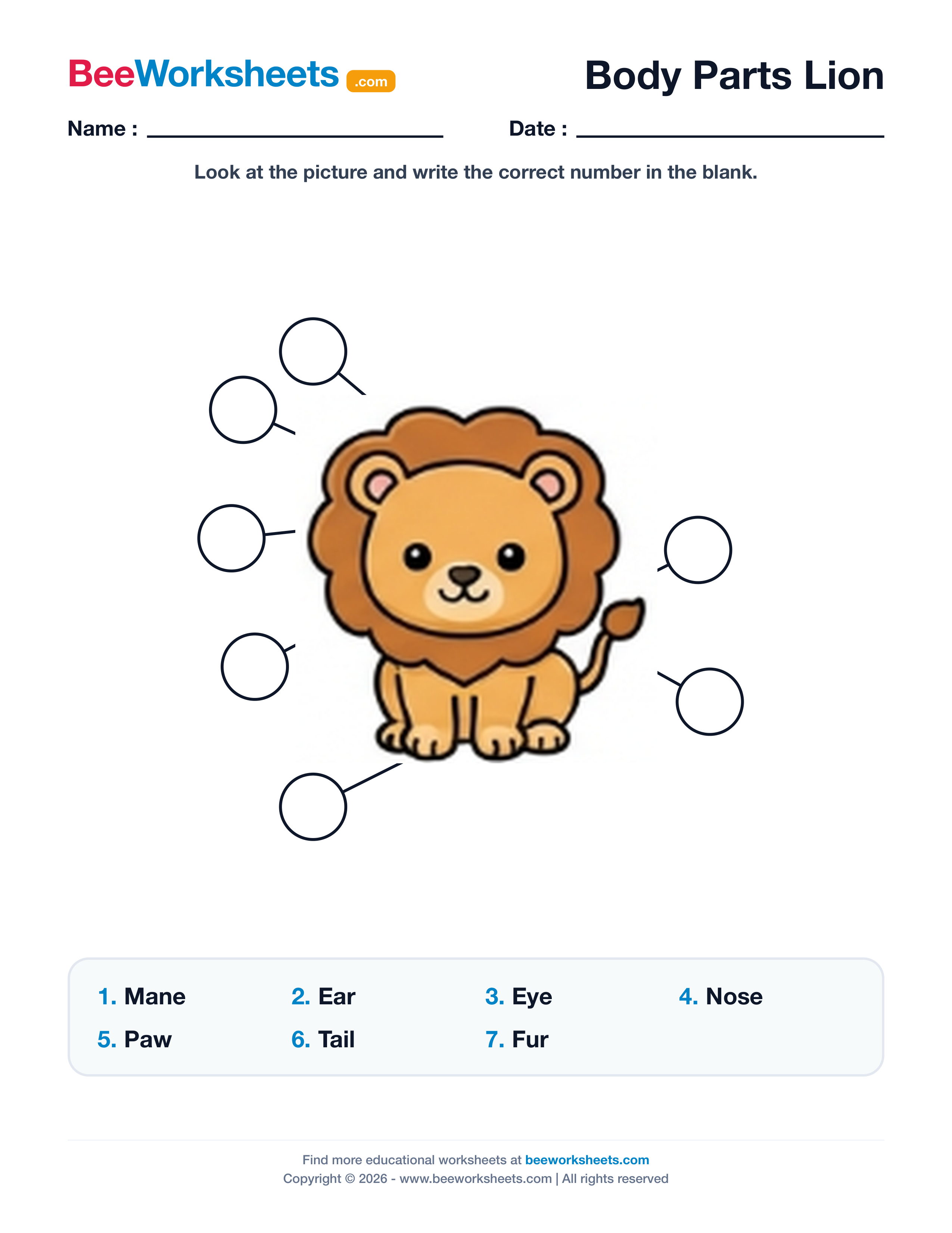 Label the Body Parts of Lion Worksheet Preview