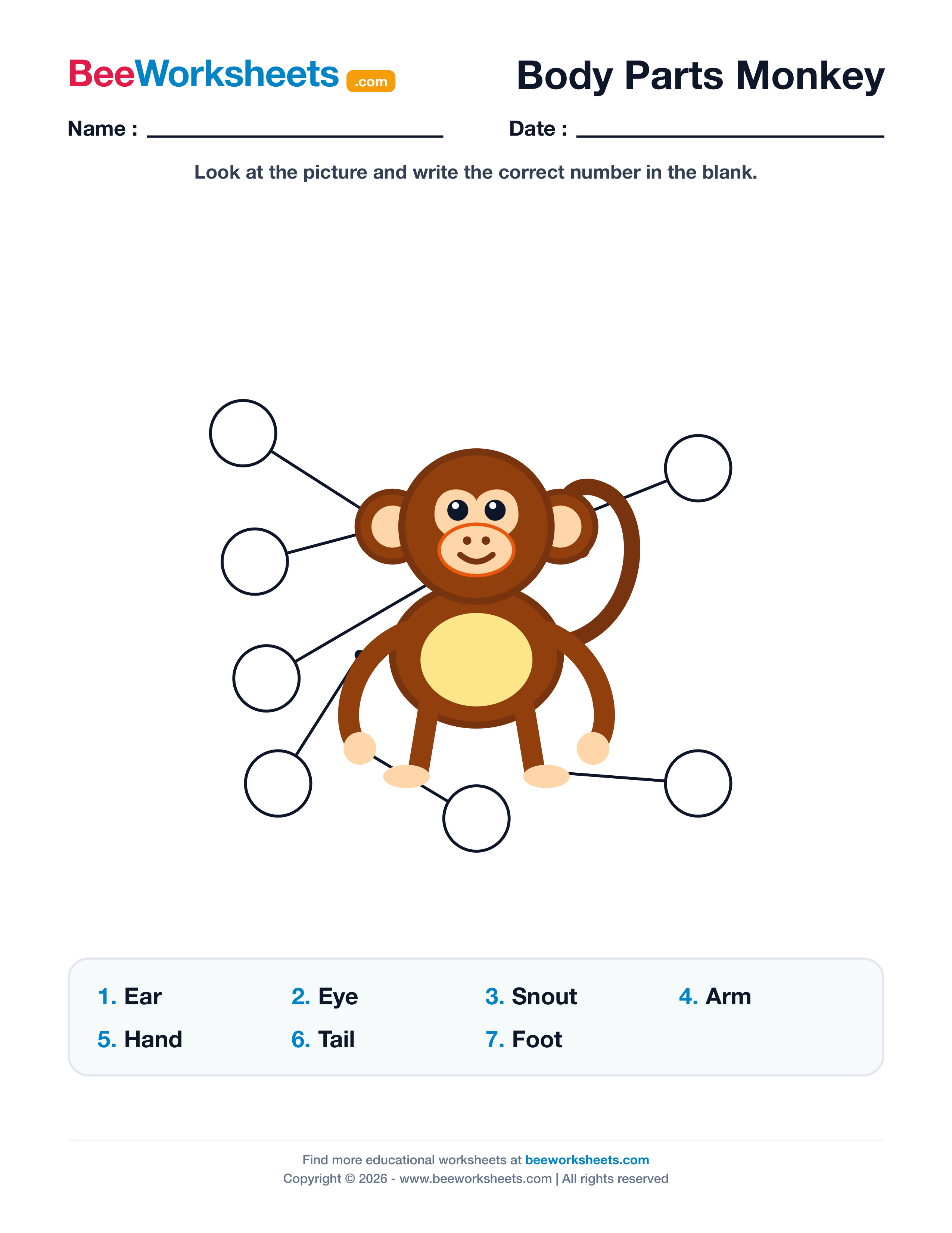Label the Body Parts of Monkey Worksheet Preview