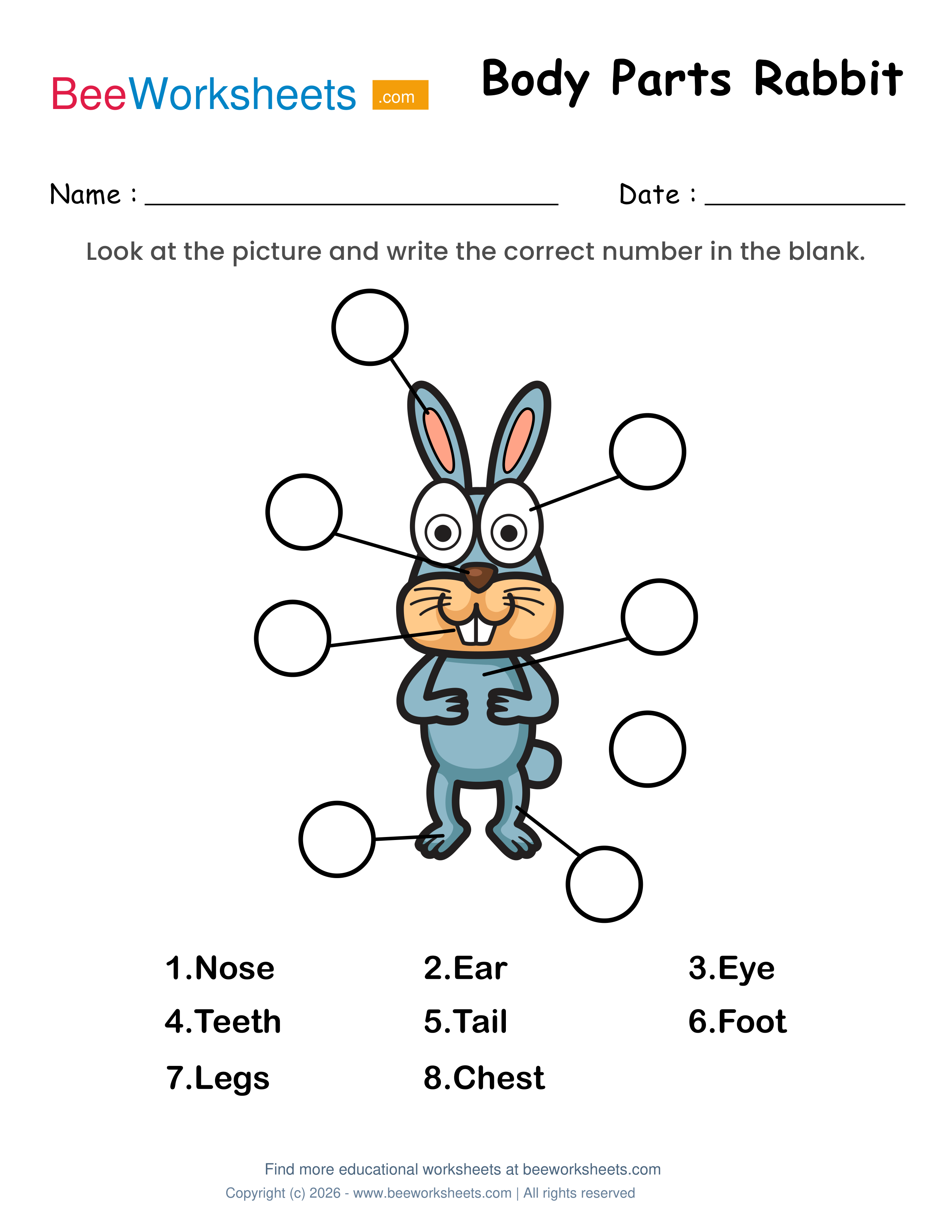 Label the Body Parts of Rabbit Worksheet Preview