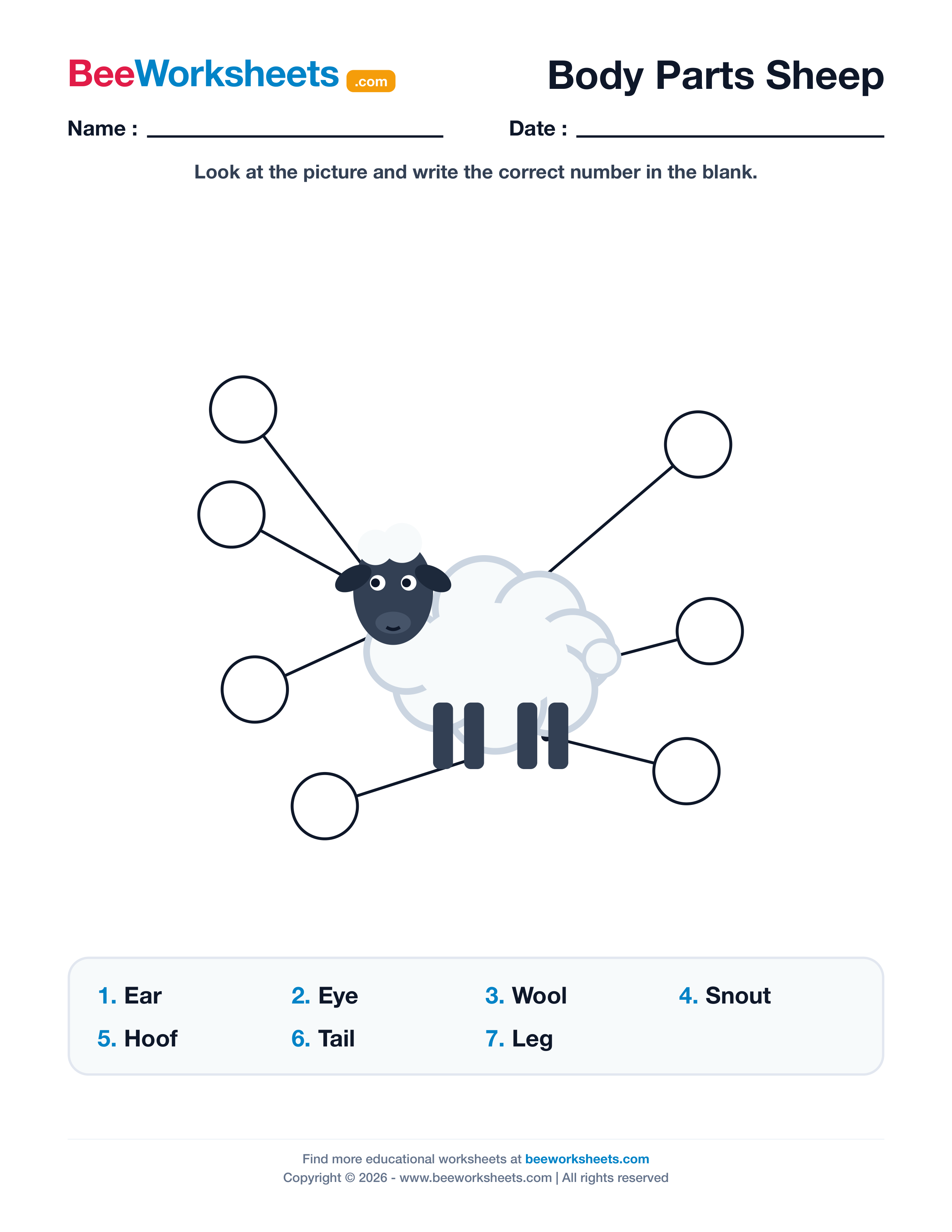 Label the Body Parts of Sheep Worksheet Preview