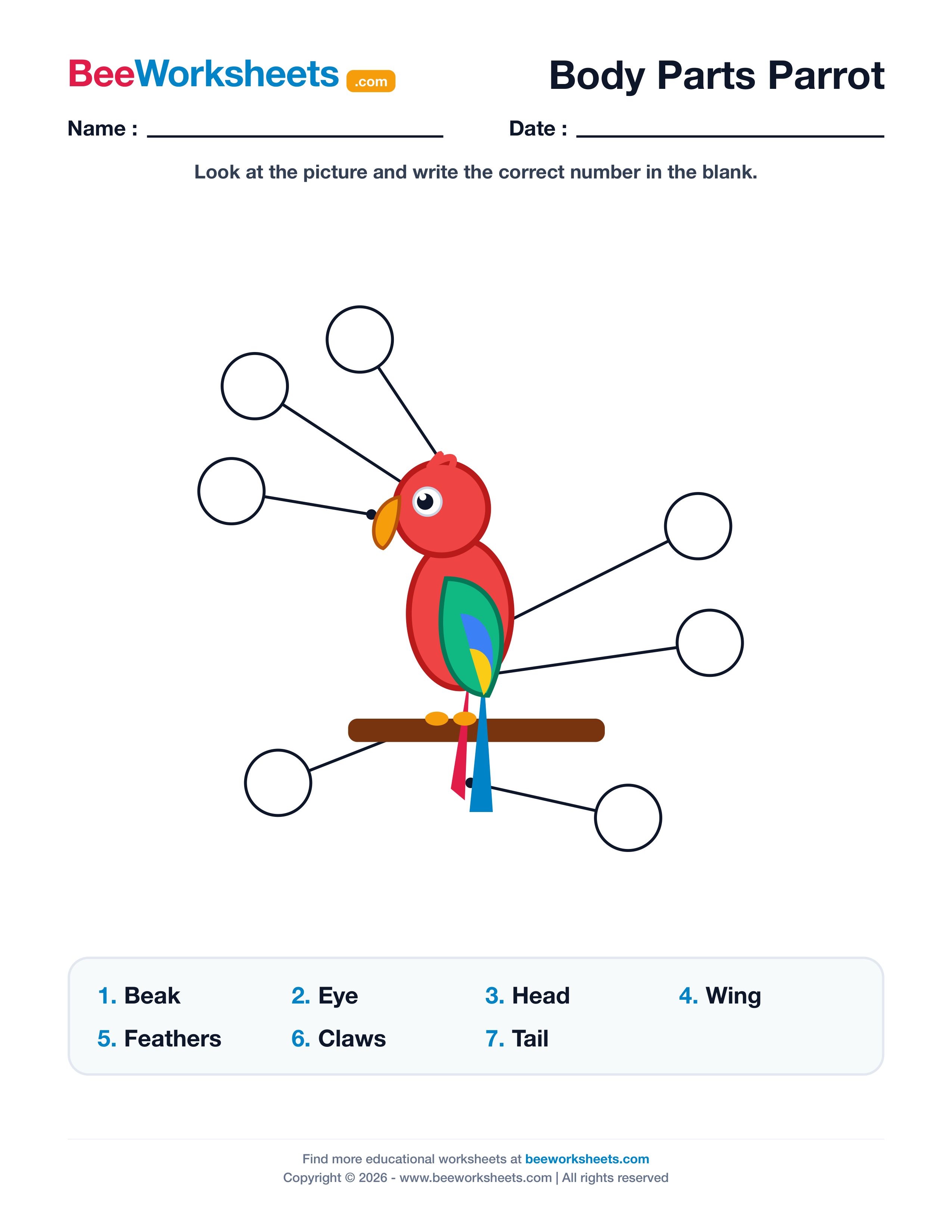 Label the Body Parts of Parrot Worksheet Preview