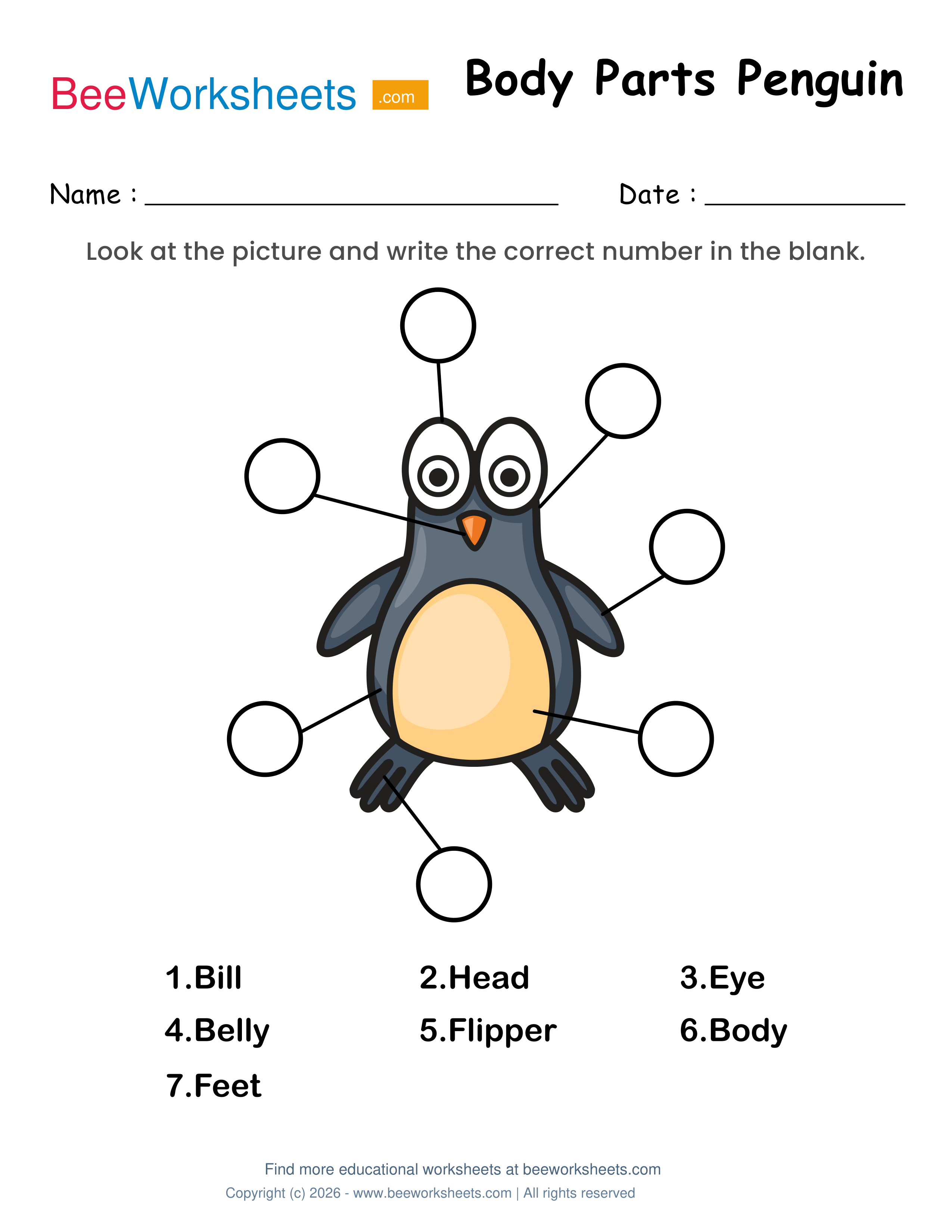 Label the Body Parts of Penguin Worksheet Preview