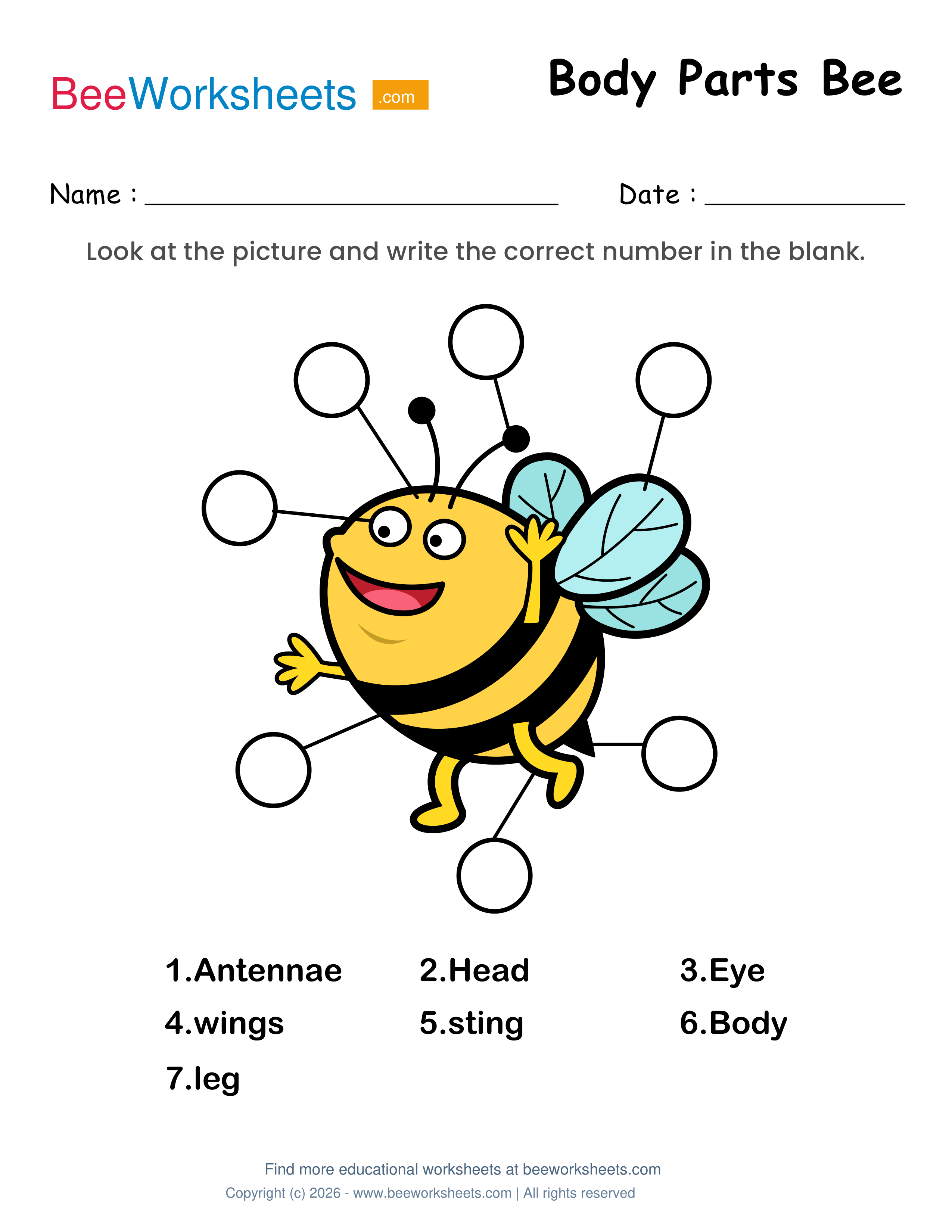 Label the Body Parts of Bee Worksheet Preview