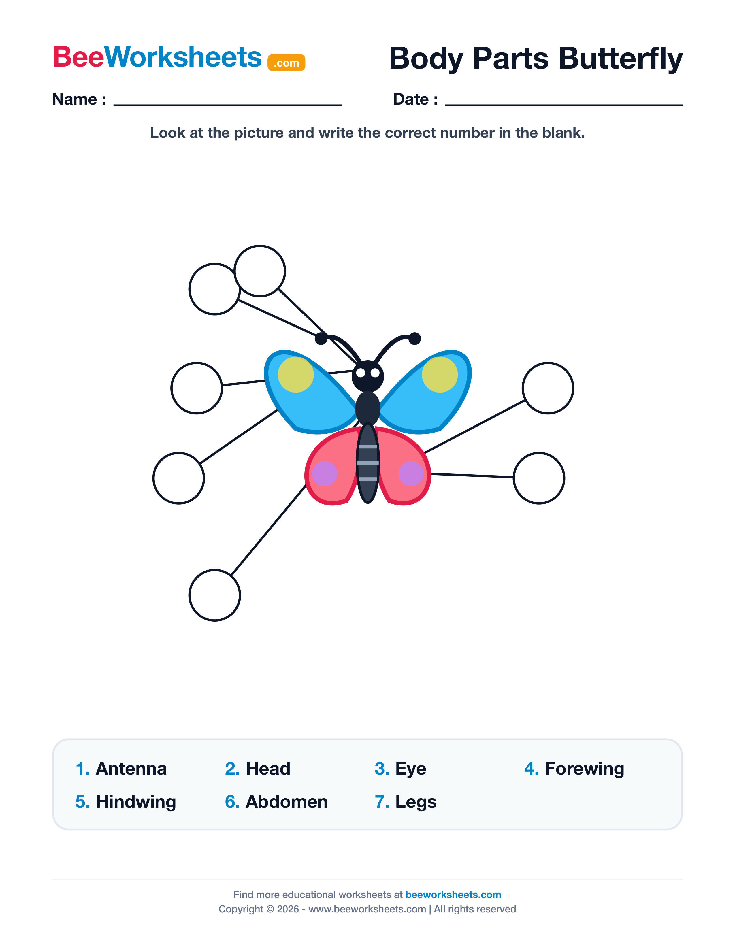 Label the Body Parts of Butterfly Worksheet Preview