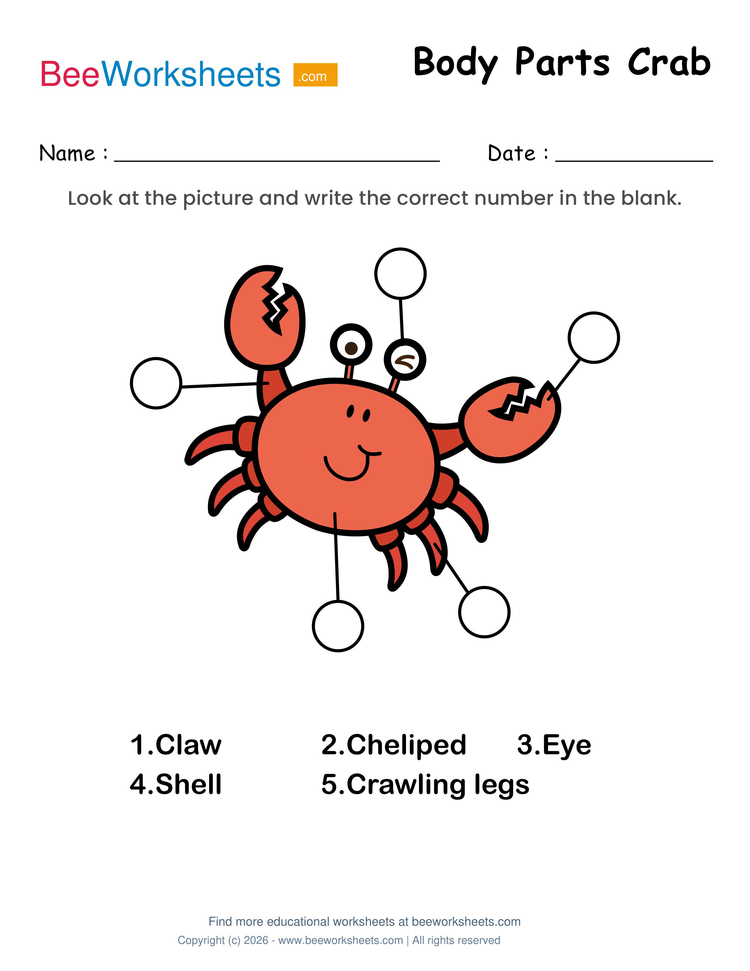 Label the Body Parts of Crab Worksheet Preview