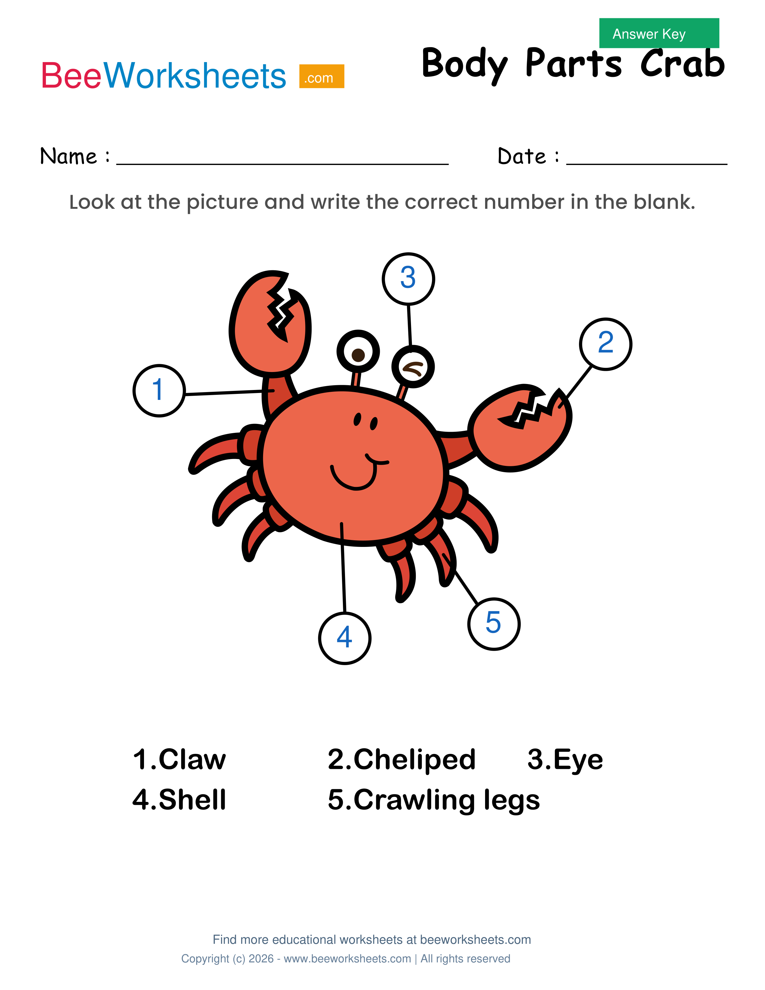 Teacher answer key and solutions preview for Label the Body Parts of Crab Worksheet printable PDF