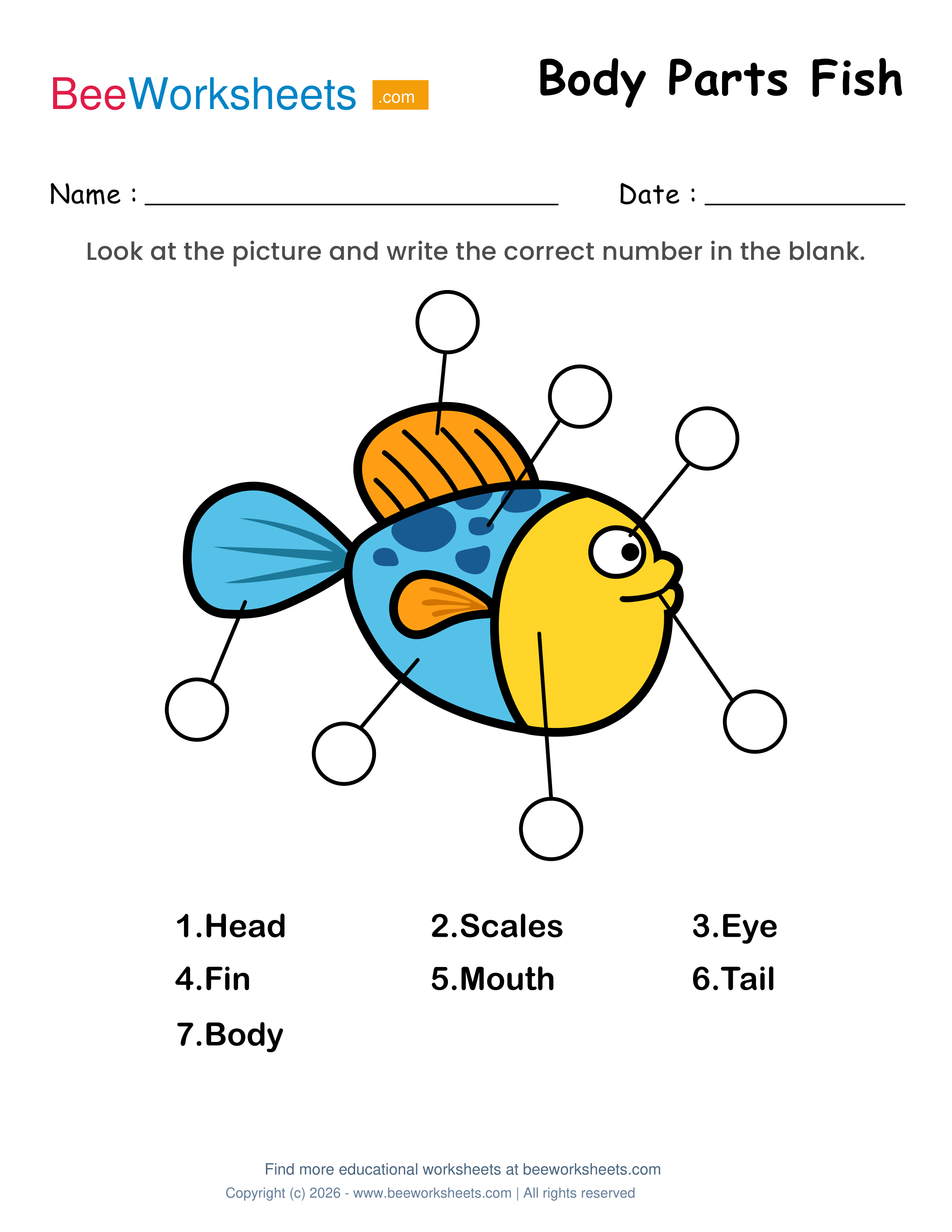 Label the Body Parts of Fish Worksheet Preview