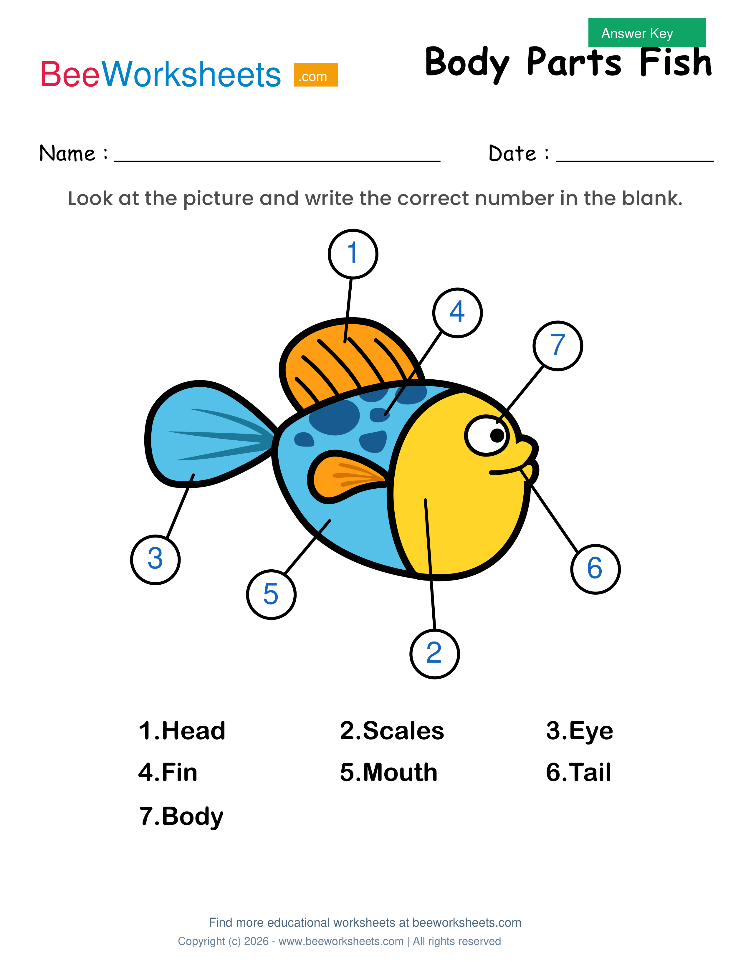 Teacher answer key and solutions preview for Label the Body Parts of Fish Worksheet printable PDF