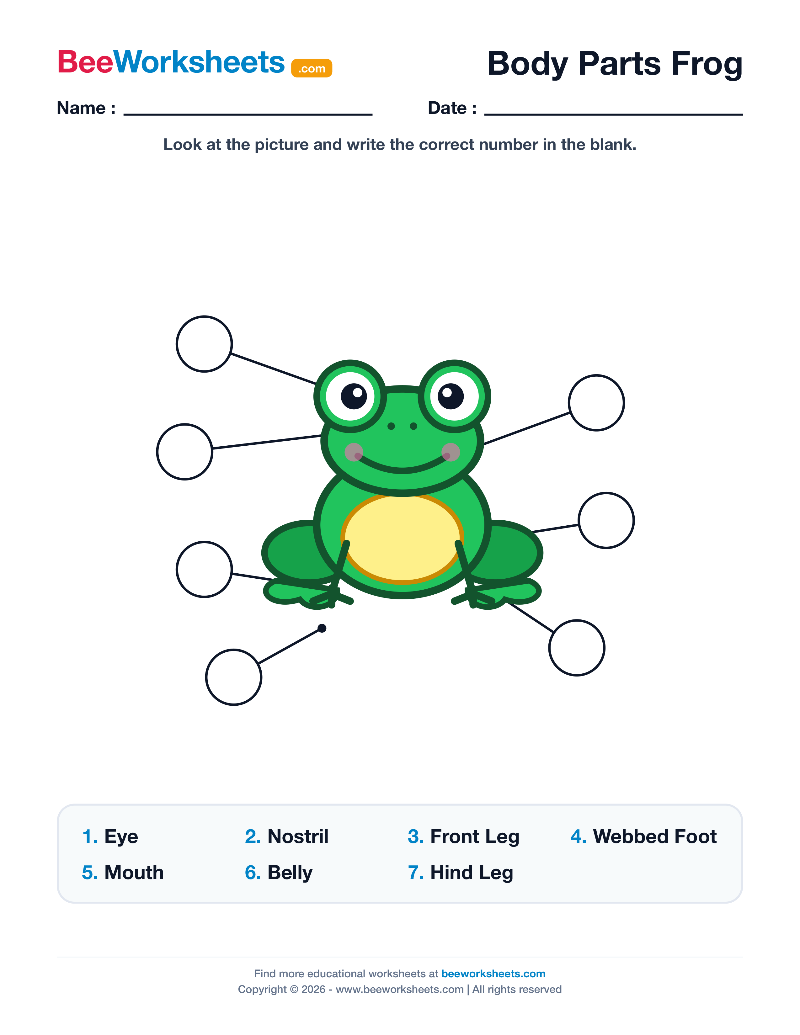 Label the Body Parts of Frog Worksheet Preview