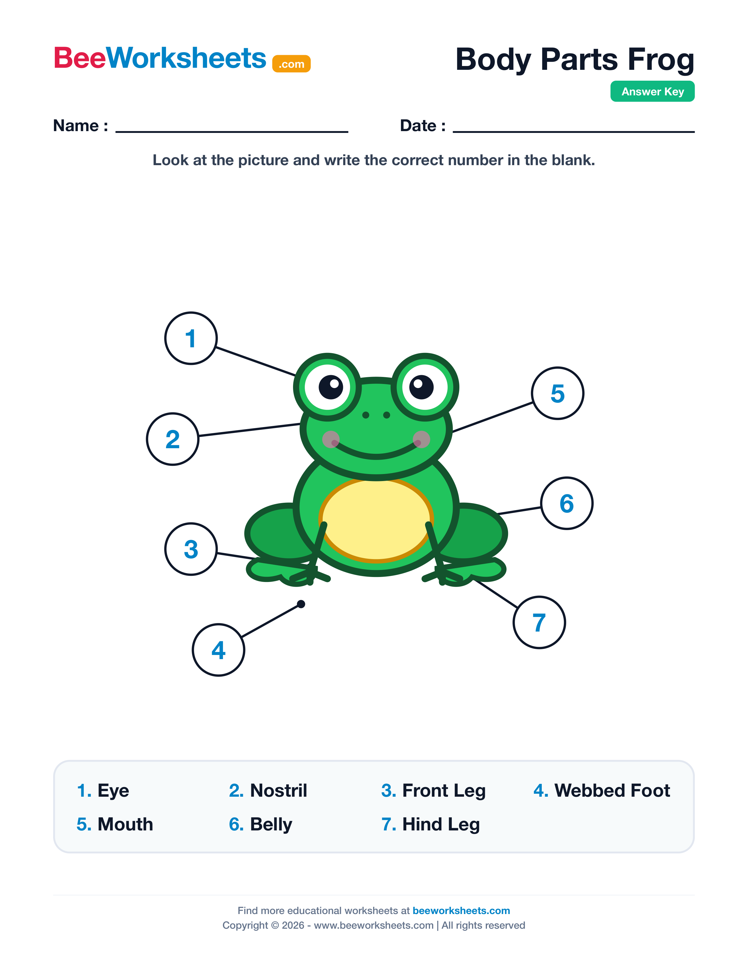 Teacher answer key and solutions preview for Label the Body Parts of Frog Worksheet printable PDF
