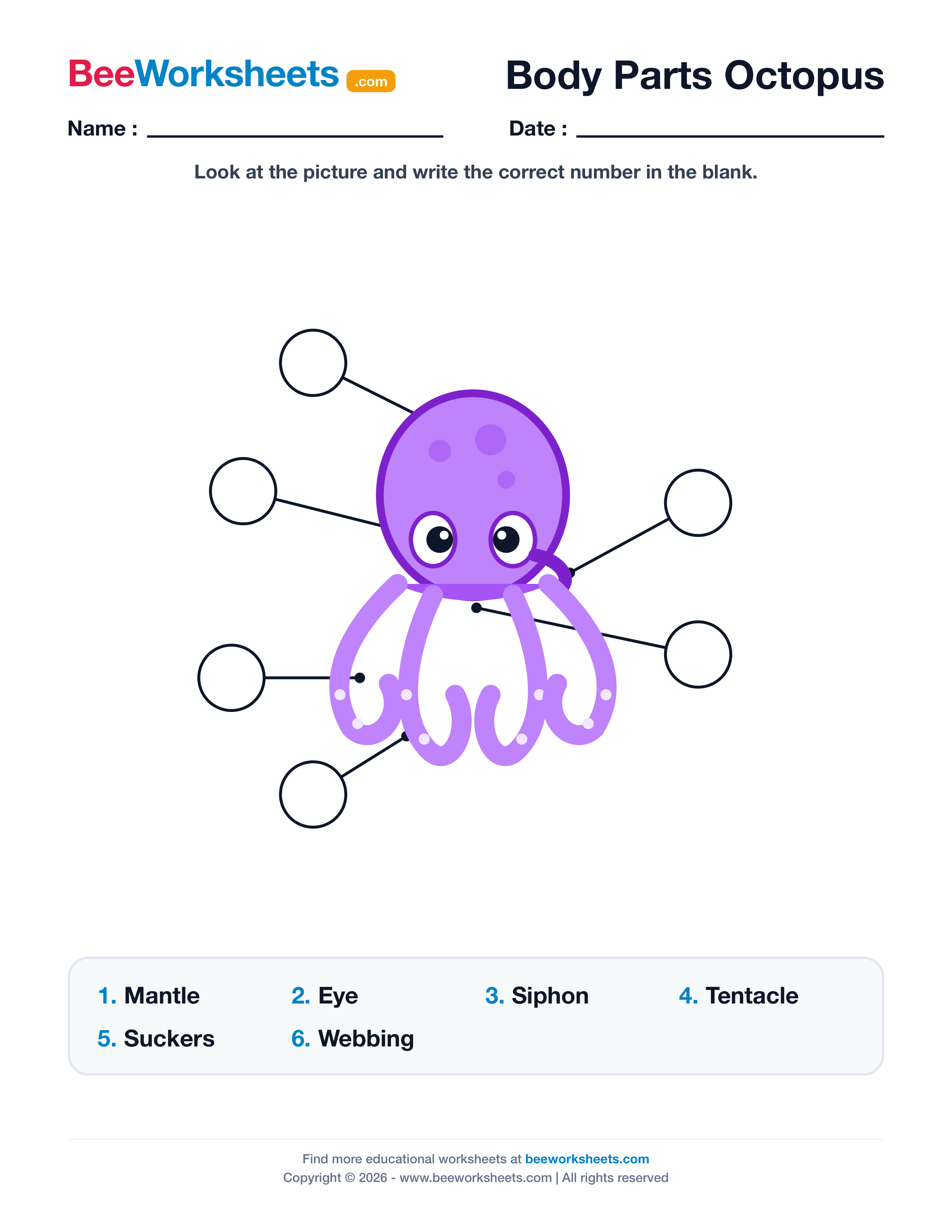Label the Body Parts of Octopus Worksheet Preview